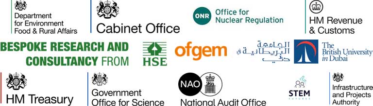SALIENT partners including government departments, arms-length bodies, STEM futures systems thinking and reliability hubs